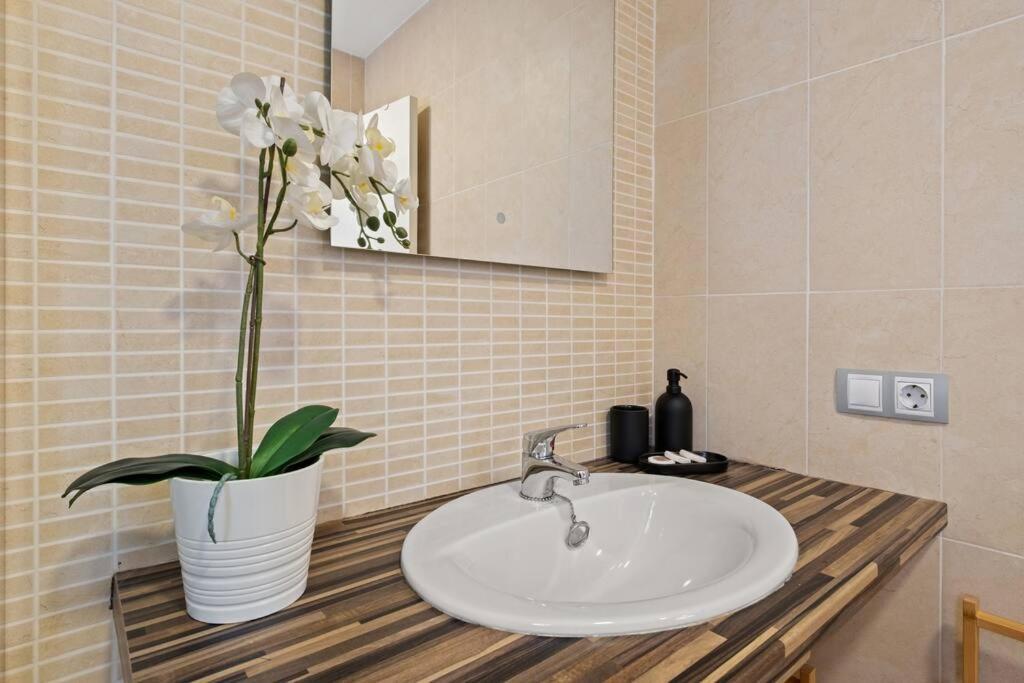 Estudio Nice Stay Dos Aceras Málaga Kültér fotó